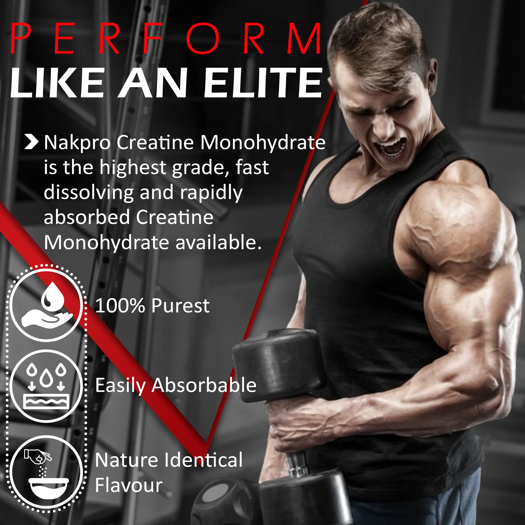 Nakpro Micronized Creatine Monohydrate | Maintenance and Support muscle | Trustified Certified - Image 118