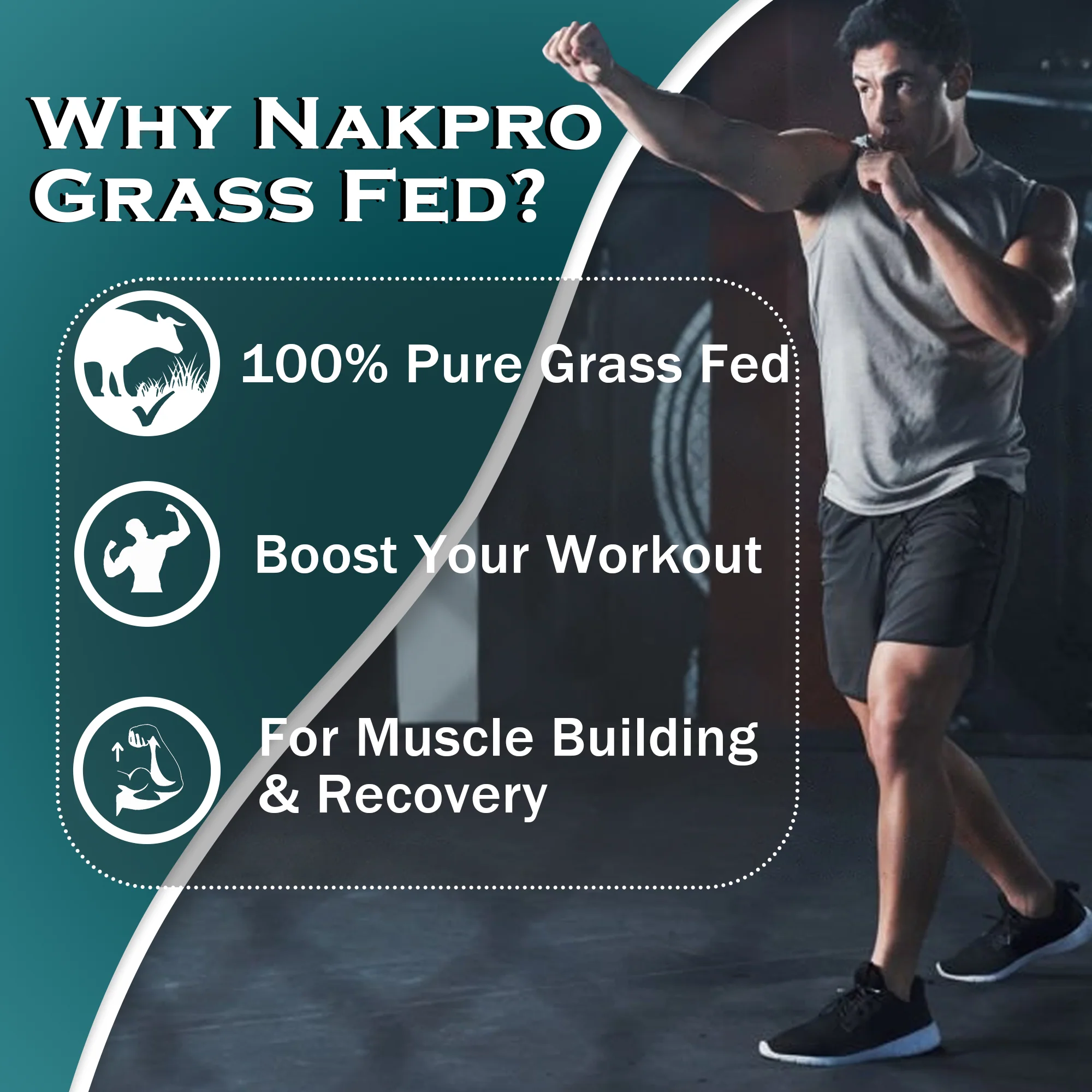 Nakpro Grass Fed Whey Protein Concentrate | 75g Protein - Image 27
